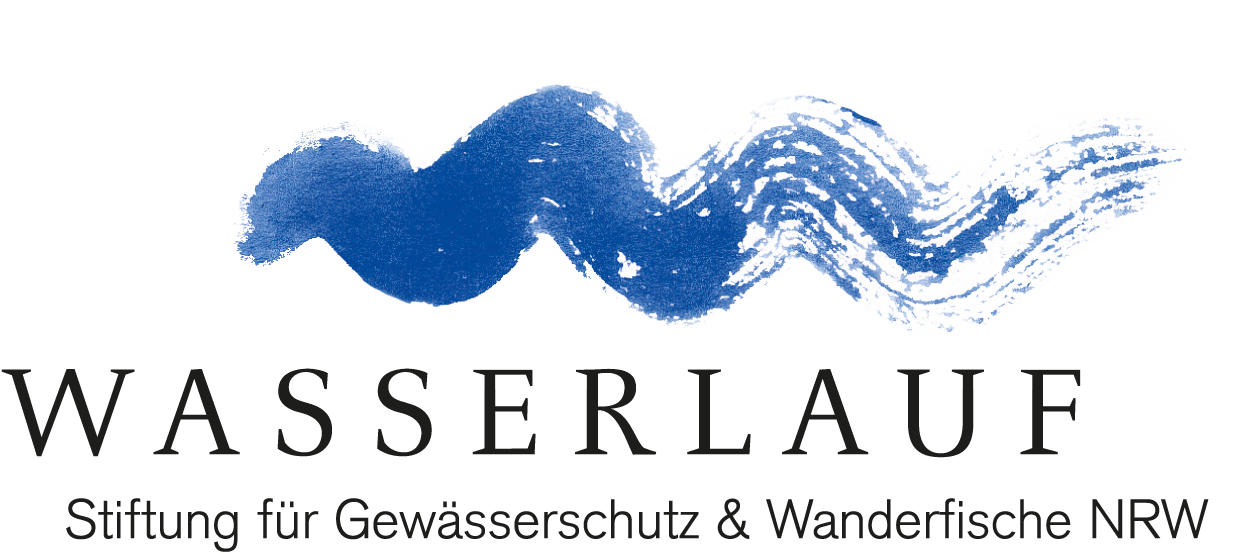 stiftung wasserlauf logo